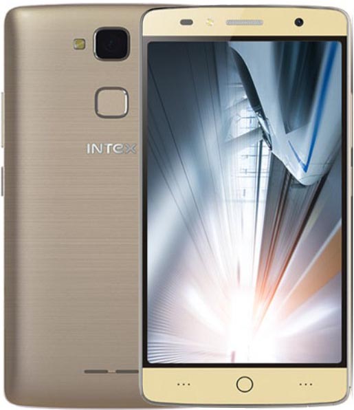 Intex